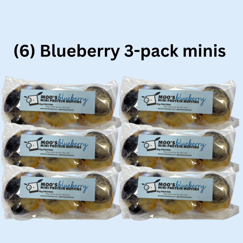 (6) Blueberry 3-pack mini's