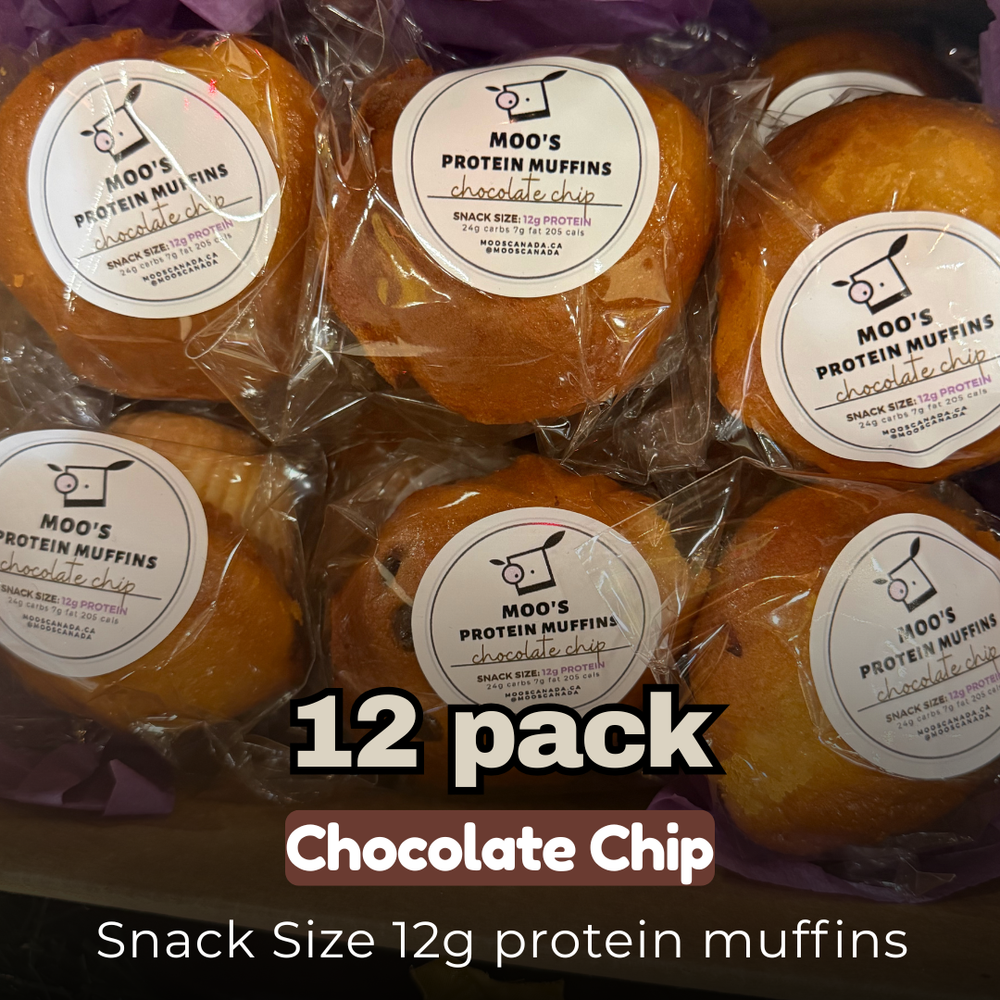 Snack Size Chocolate Chip (Pack of 12)